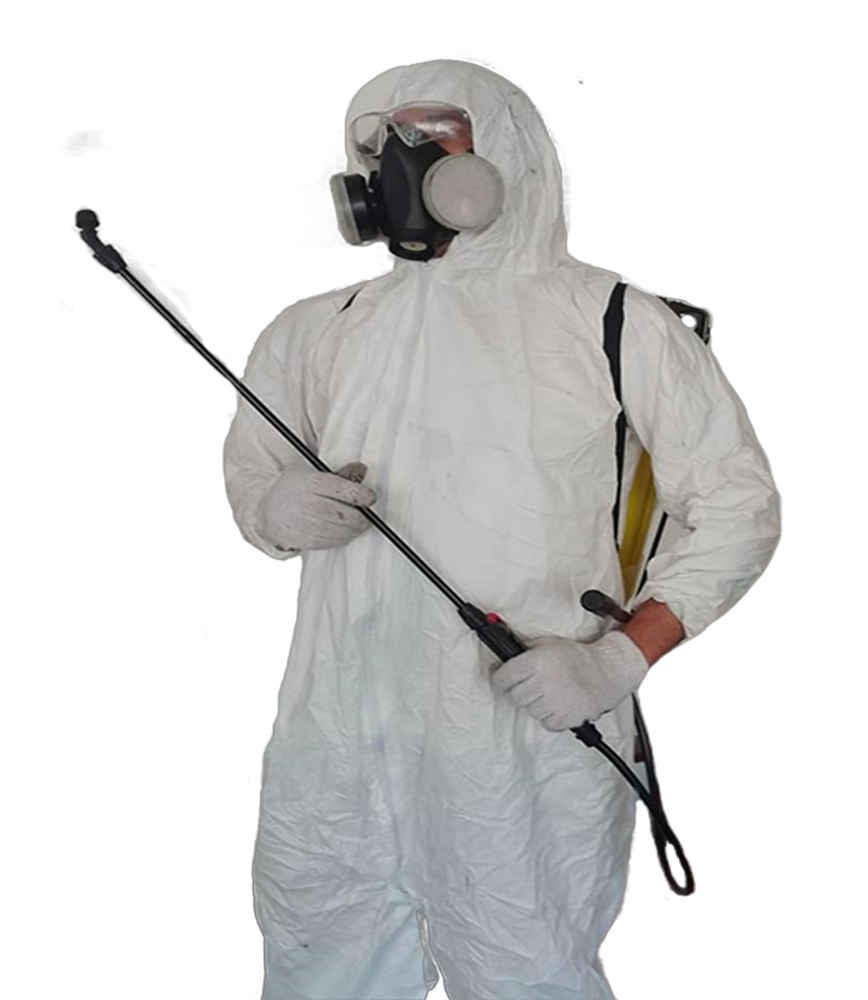 Empresa de Fumigación en Caracas