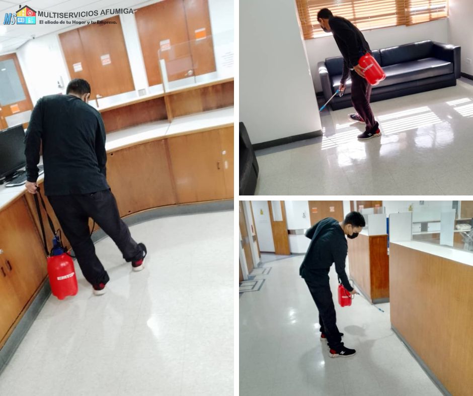 control de plagas Guarenas