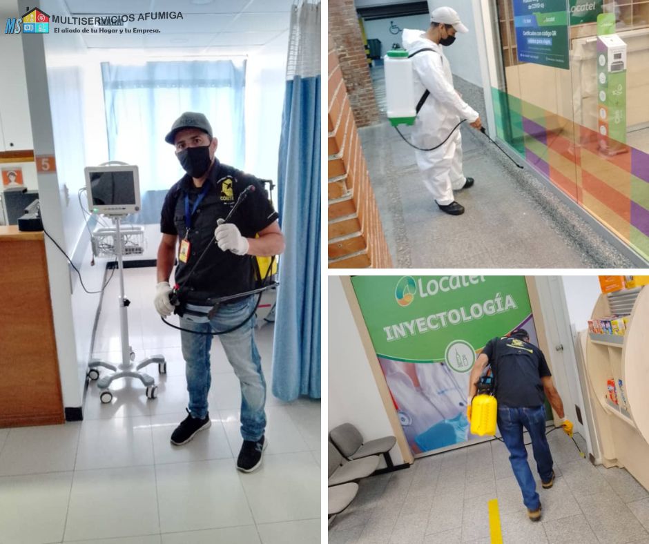 Control de plagas en Caracas