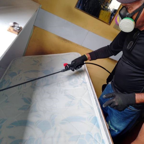 Fumigación de Chinche de Cama