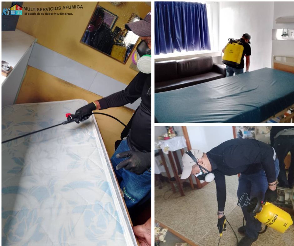 Fumigacion chinches de cama