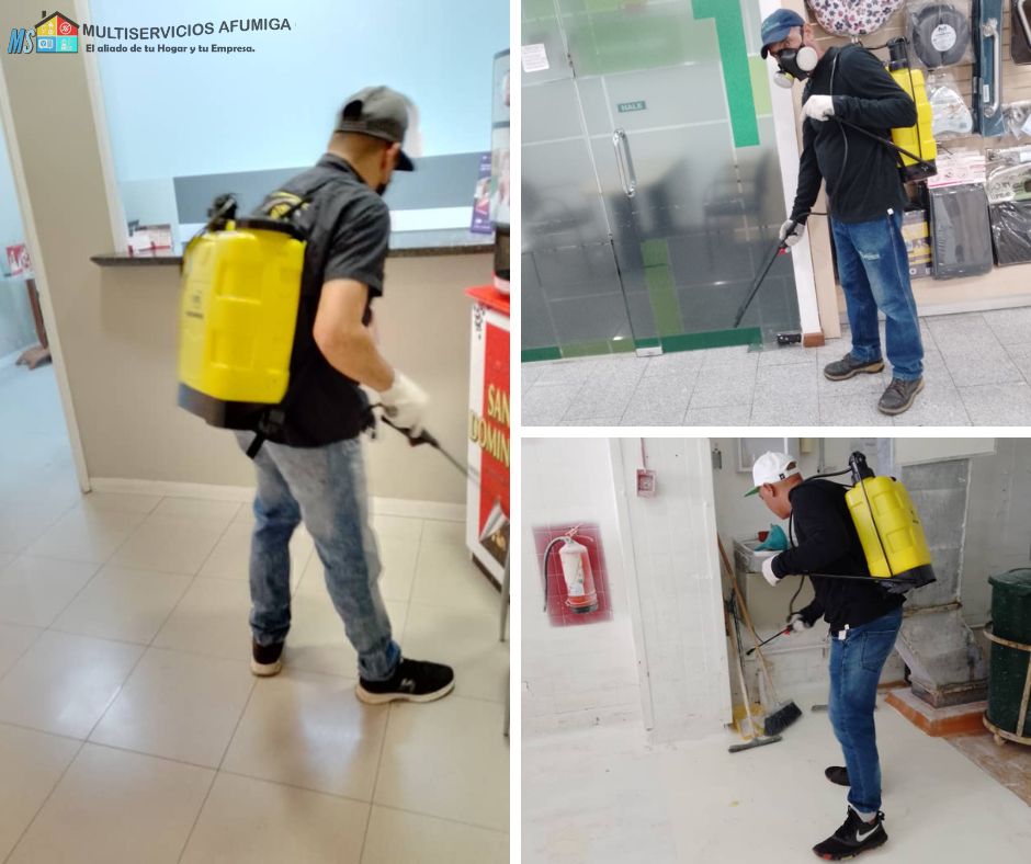 Fumigación en Caracas