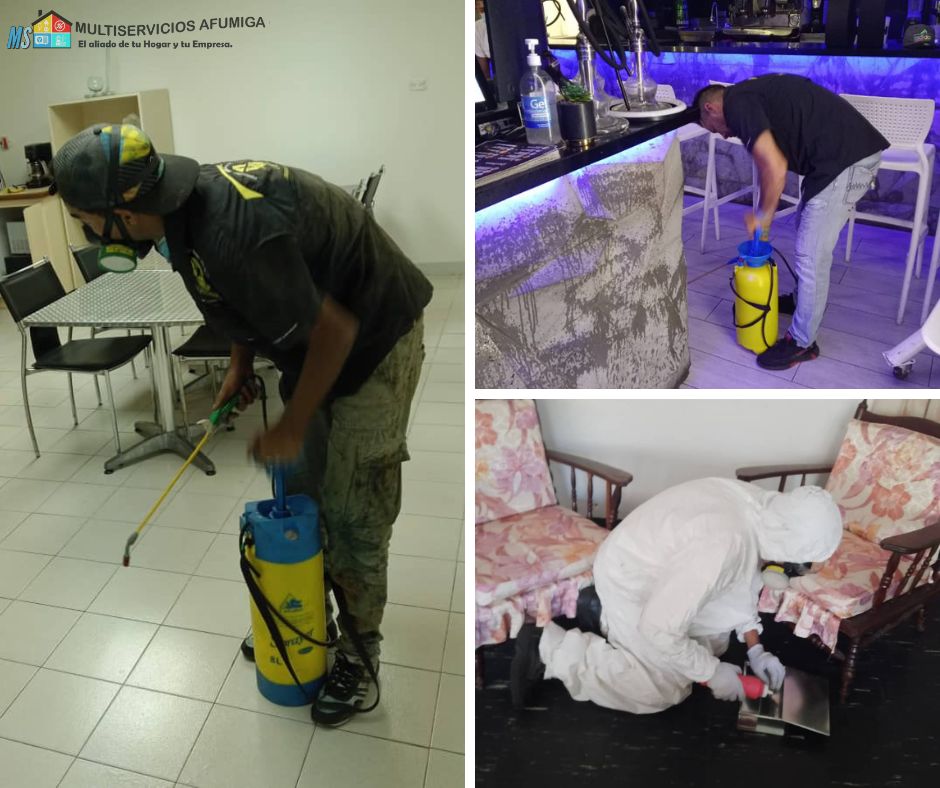 servicios de fumigacion los Teques